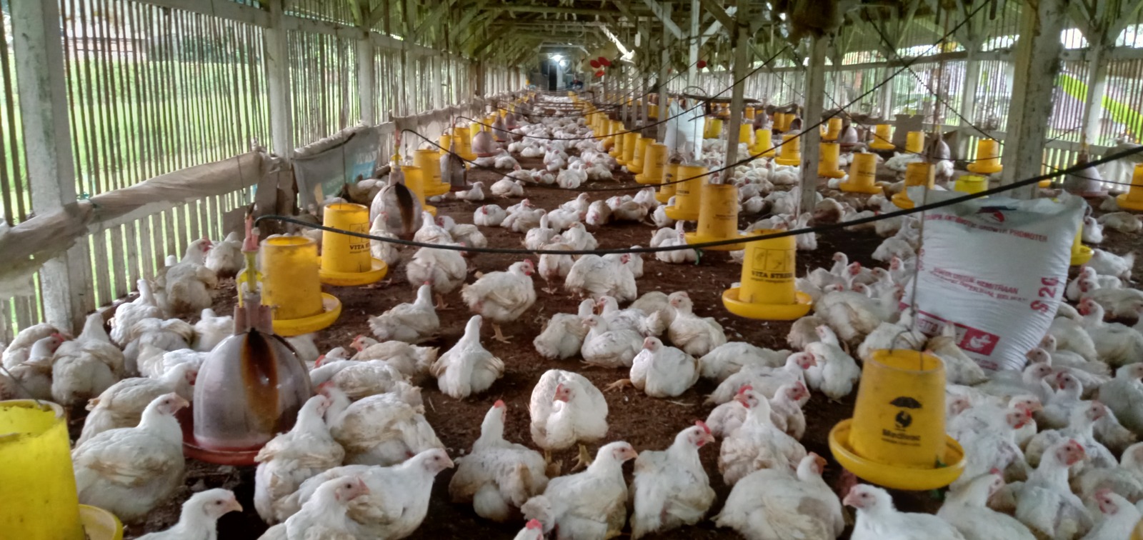 Smart Poultry Impact Labs