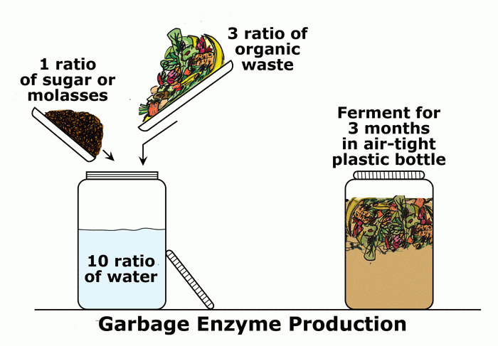 eco enzyme