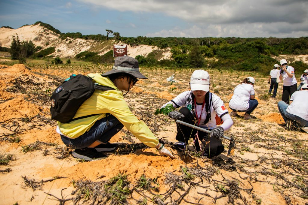 carbon offset